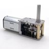 Worm Gearbox DC Geared Motor