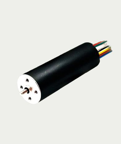 Diameter Ø16mm BLDC Coreless Brushless DC Motor