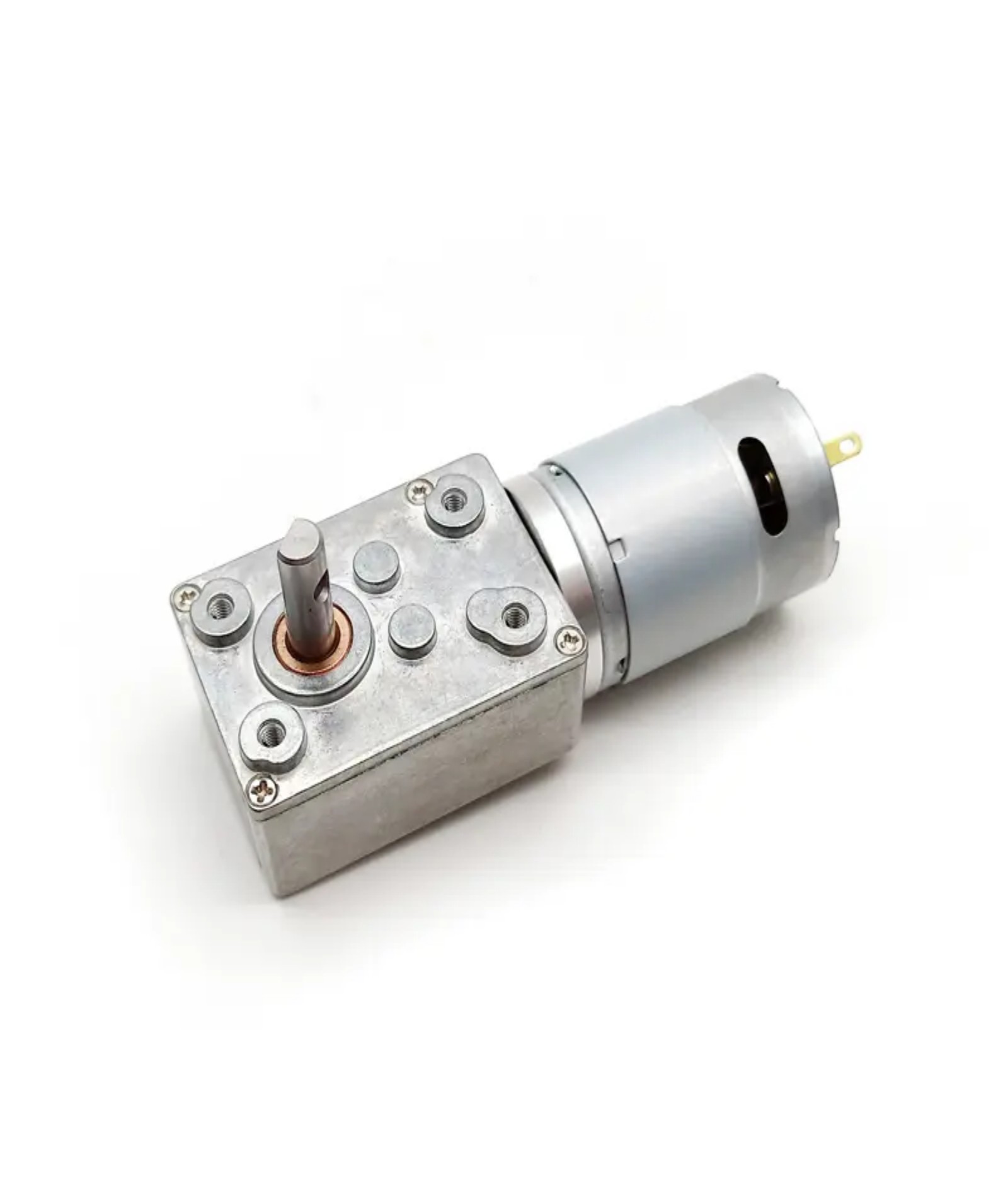 Worm Gearbox DC Geared Motor