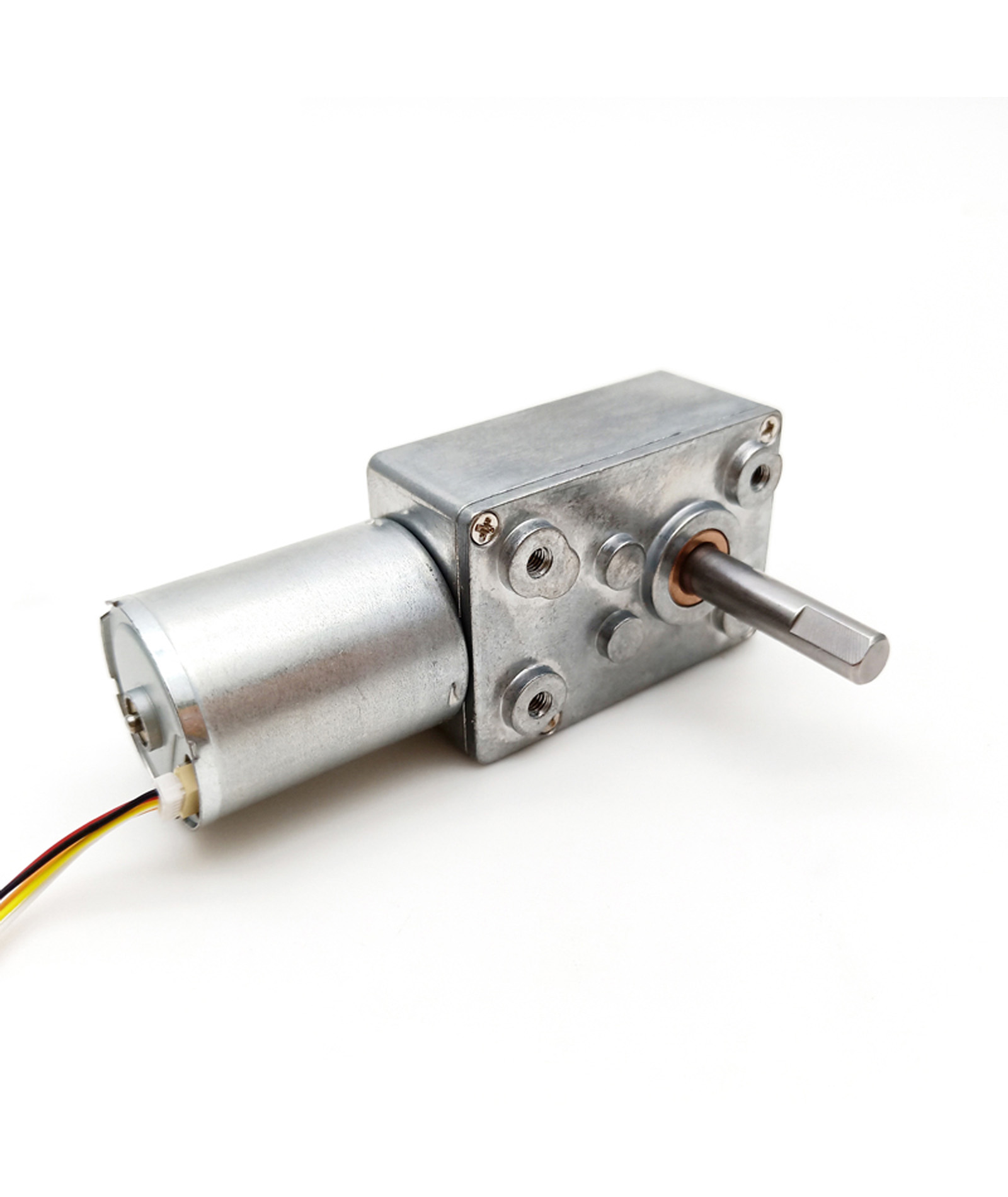 WG4632-EC2439012 worm gear motor