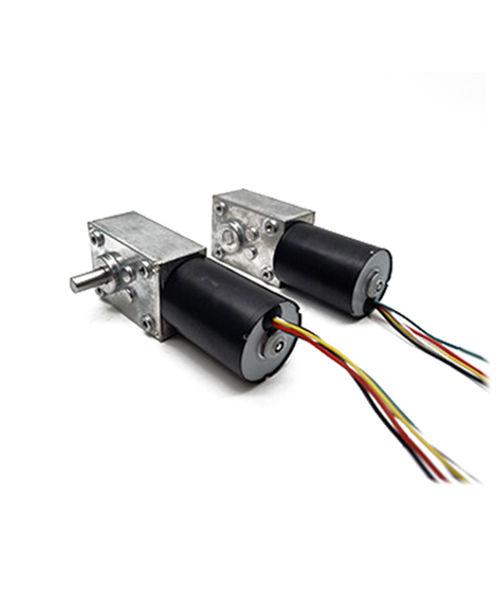 WG5840-EC3650024 worm gear motor