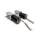WG5840-EC3650024 worm gear motor