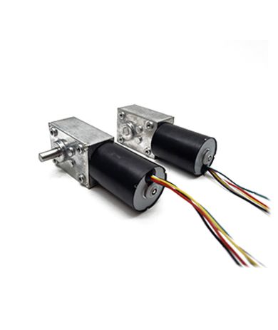 WG5840-EC3650024 worm gear motor