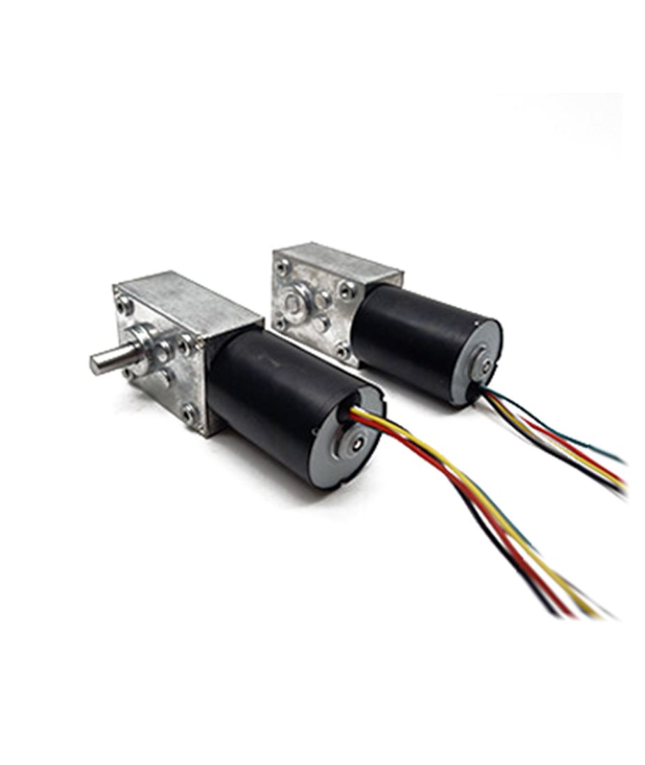 WG5840-EC3650024 worm gear motor