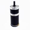 Planetary Gearbox BLDC Geared Motor